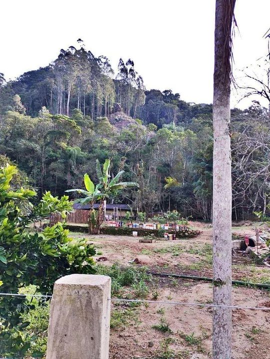 Sítio à venda, 142000 m² por R$ 900.000,00 - Angelina - Angelina/SC - Foto 3