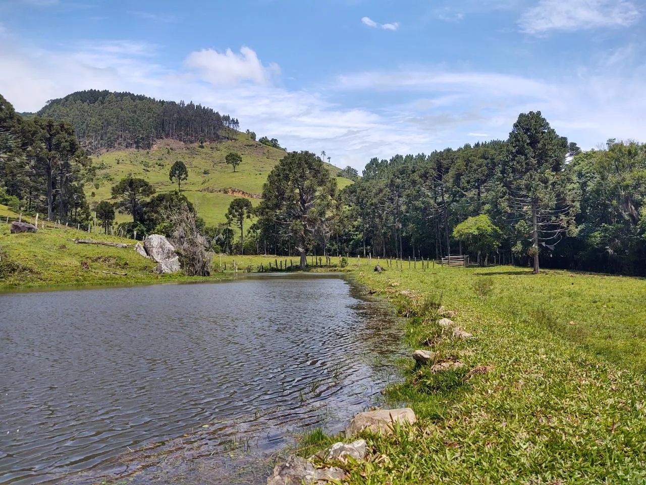 foto - Florianópolis - Capoeiras