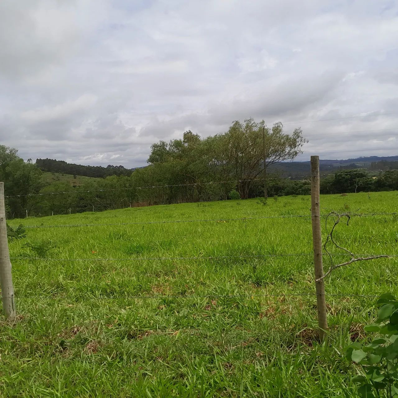 Terreno rural em itatiaucu  - Foto 3