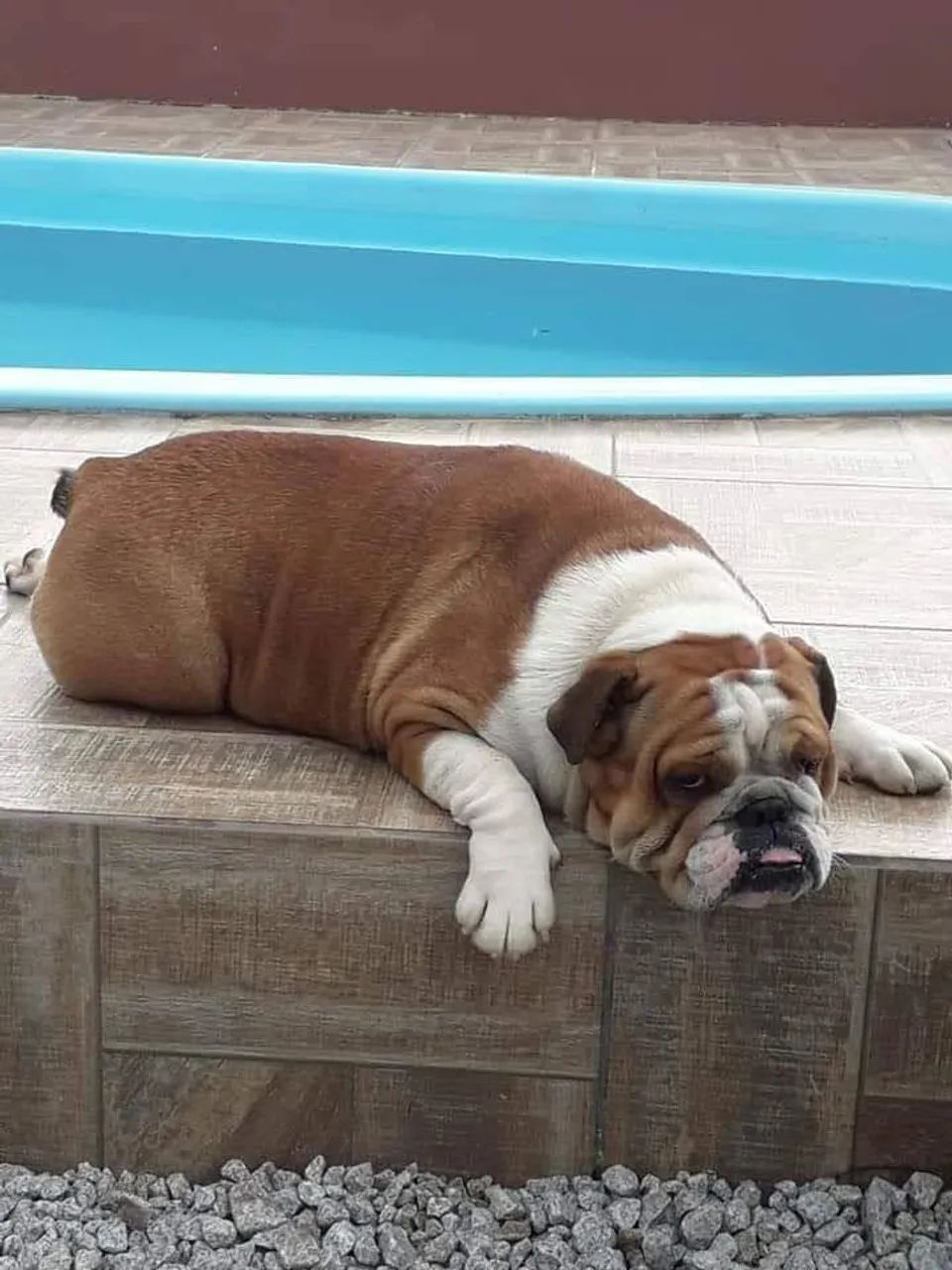 Procura  namorado - Foto 2