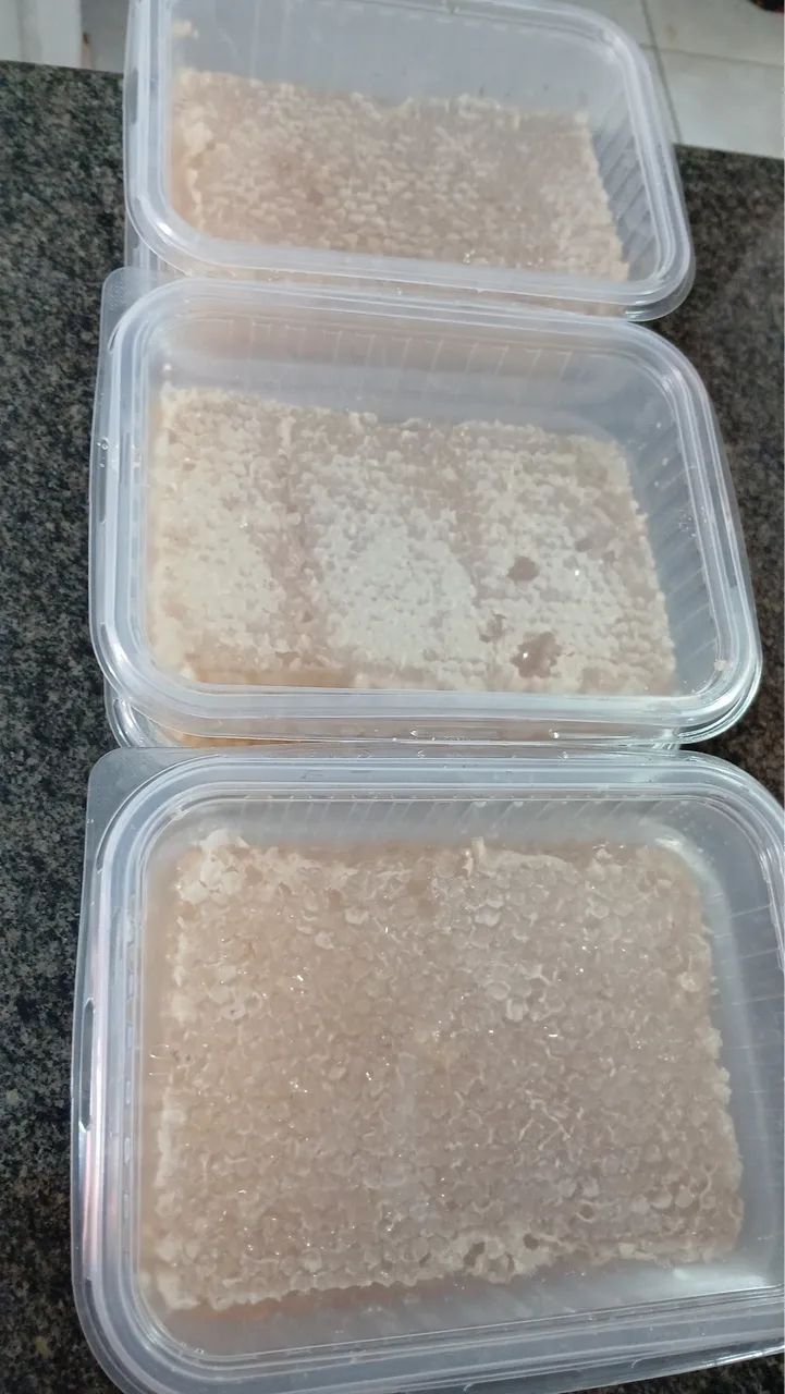 Mel e favos puríssimo de abelha Europa  - Foto 4