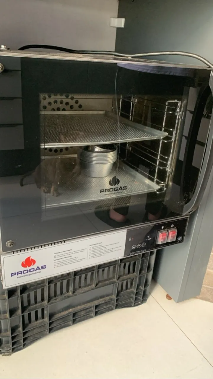 Forno elétrico digital pro gás