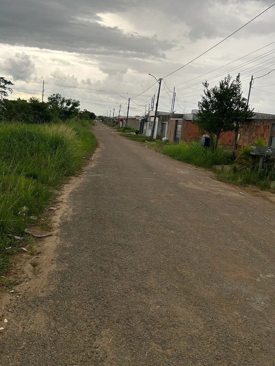 Foto - Rio Branco - Floresta Sul