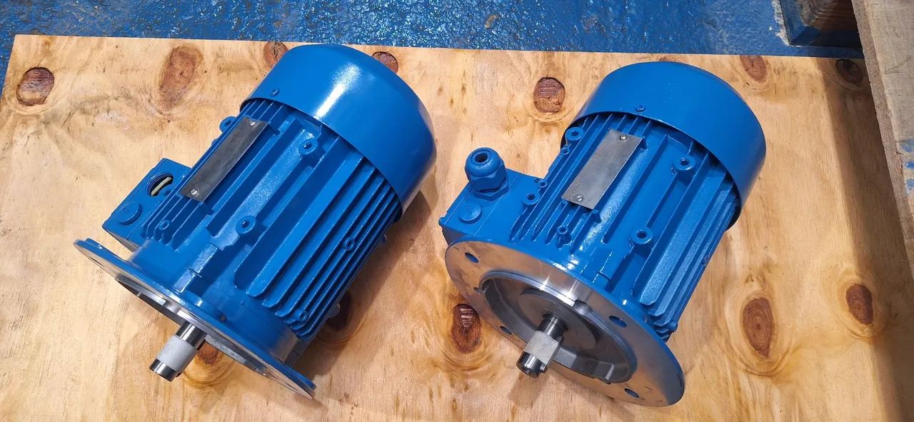 Motor elétrico trifásico 1 cv rpm 1695 baixa rotação 4 polos. - Foto 5