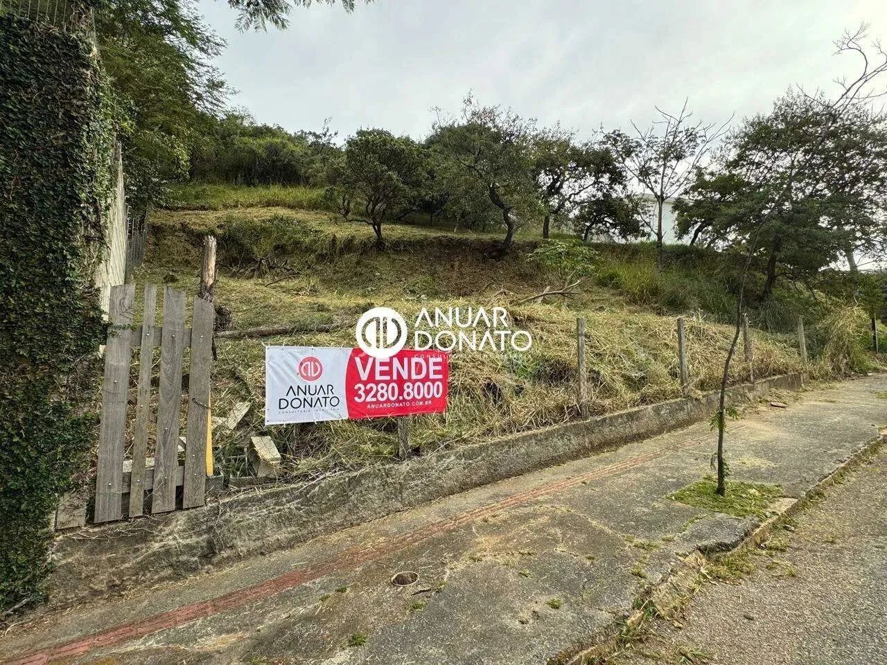 Comiteco - Lote / Terreno à venda na Anuar Donato - Foto 4