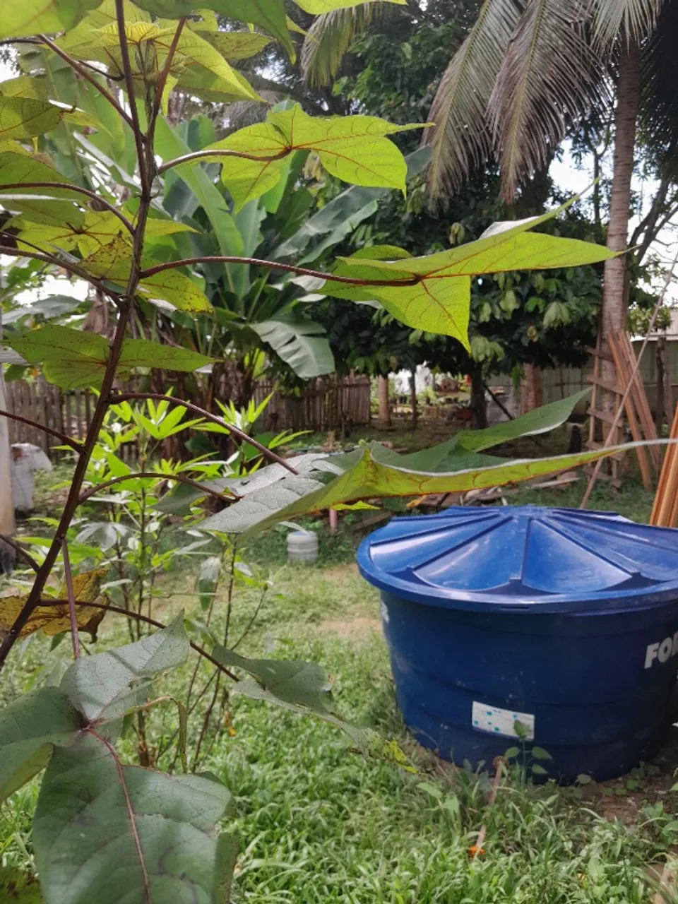 Vende-se 2 casas no mesmo terreno estrada Balbina,KM 28 Pres.Figueiredo