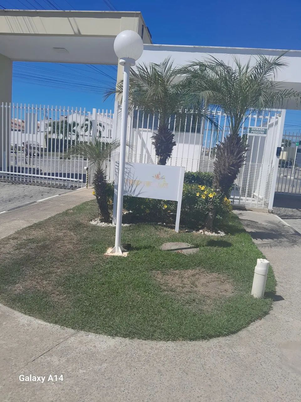 Oportunidade única  - Foto 2