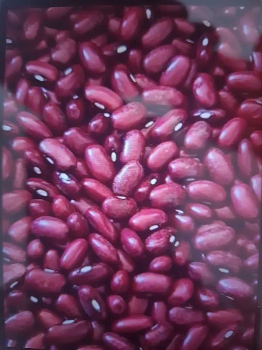 Corretor de Cereais com experiência e conhecimento na área Agro.  