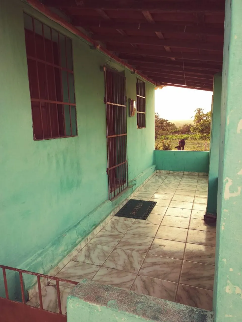 Mini Granja