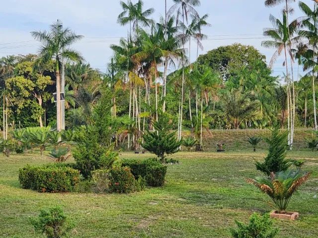 Sítio 1000 x 3.000 estrada Balbina  1.016.000 - Foto 2