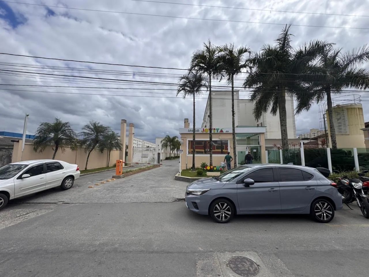 Foto - Joinville - Floresta