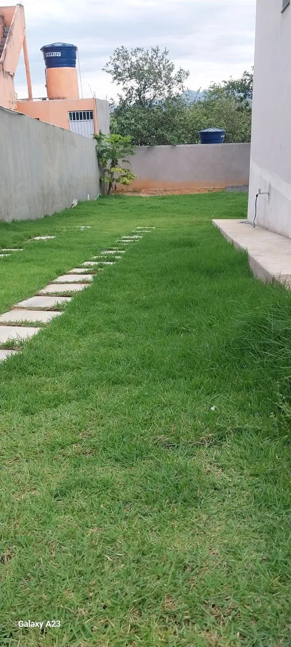 Jardinagem e manutenção  - Foto 4