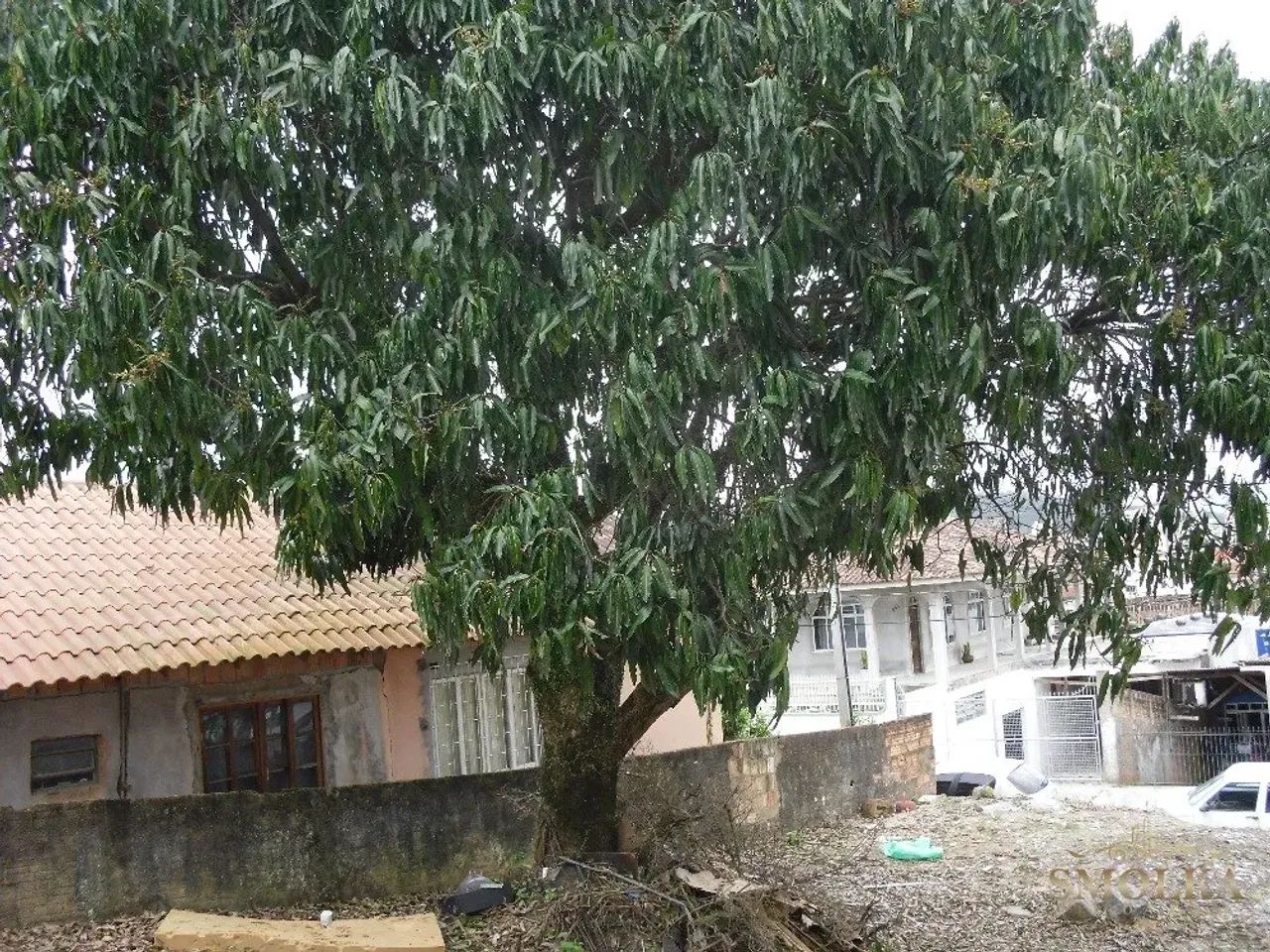 Terreno a venda em São José - SC - Foto 3