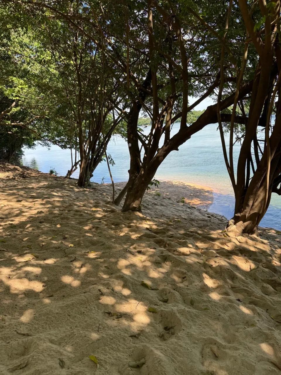 Chácara aluguel temporada 