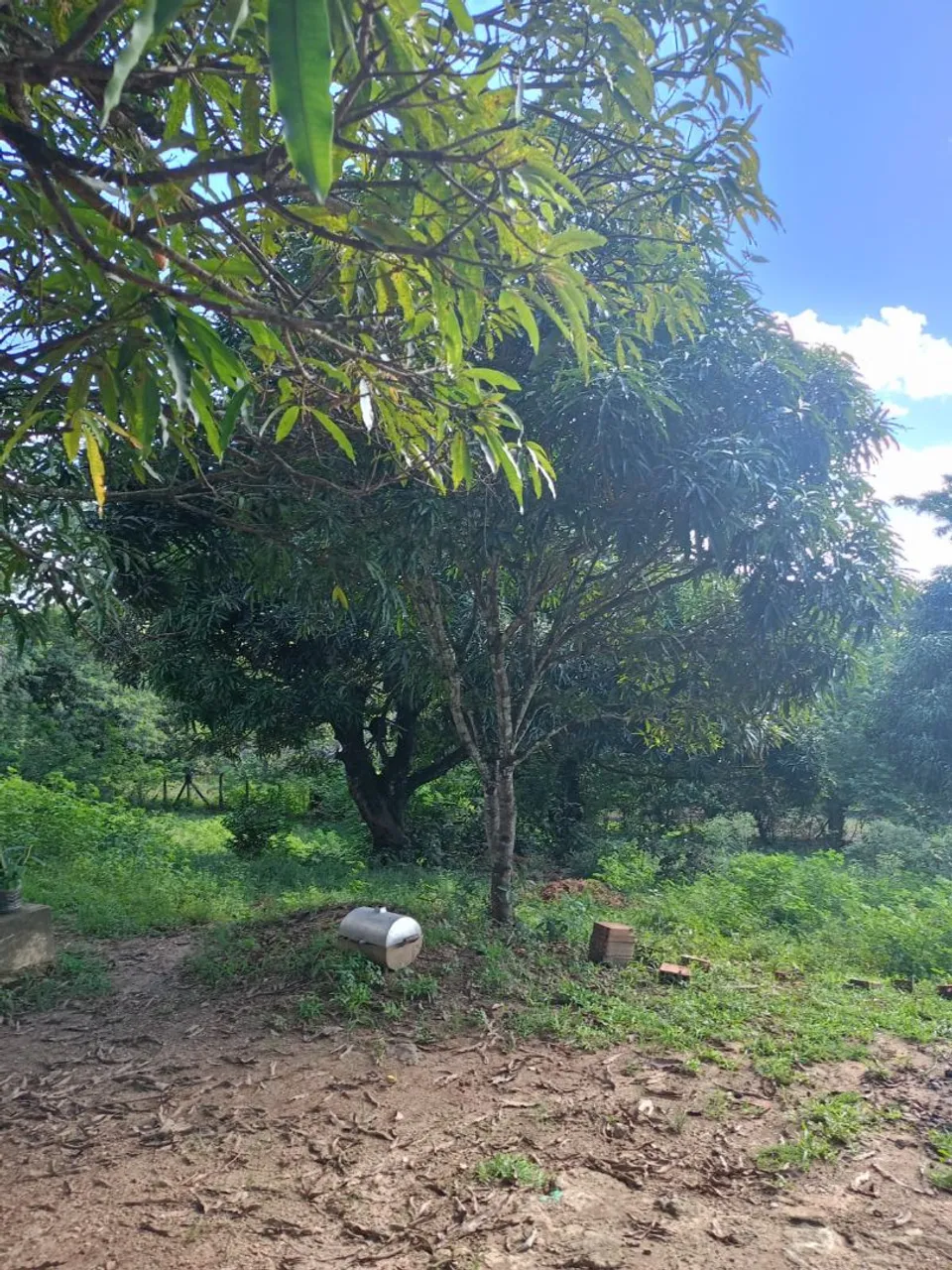 Vendo sítio com uma casa