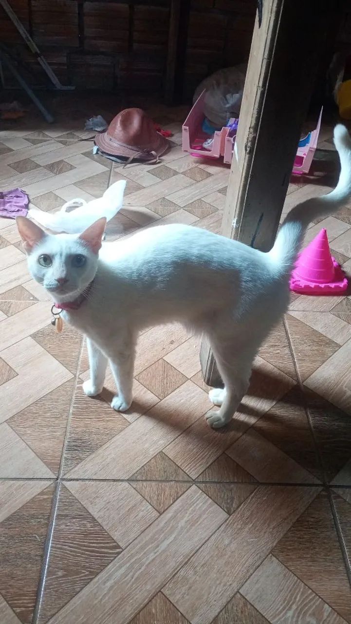 Doação 