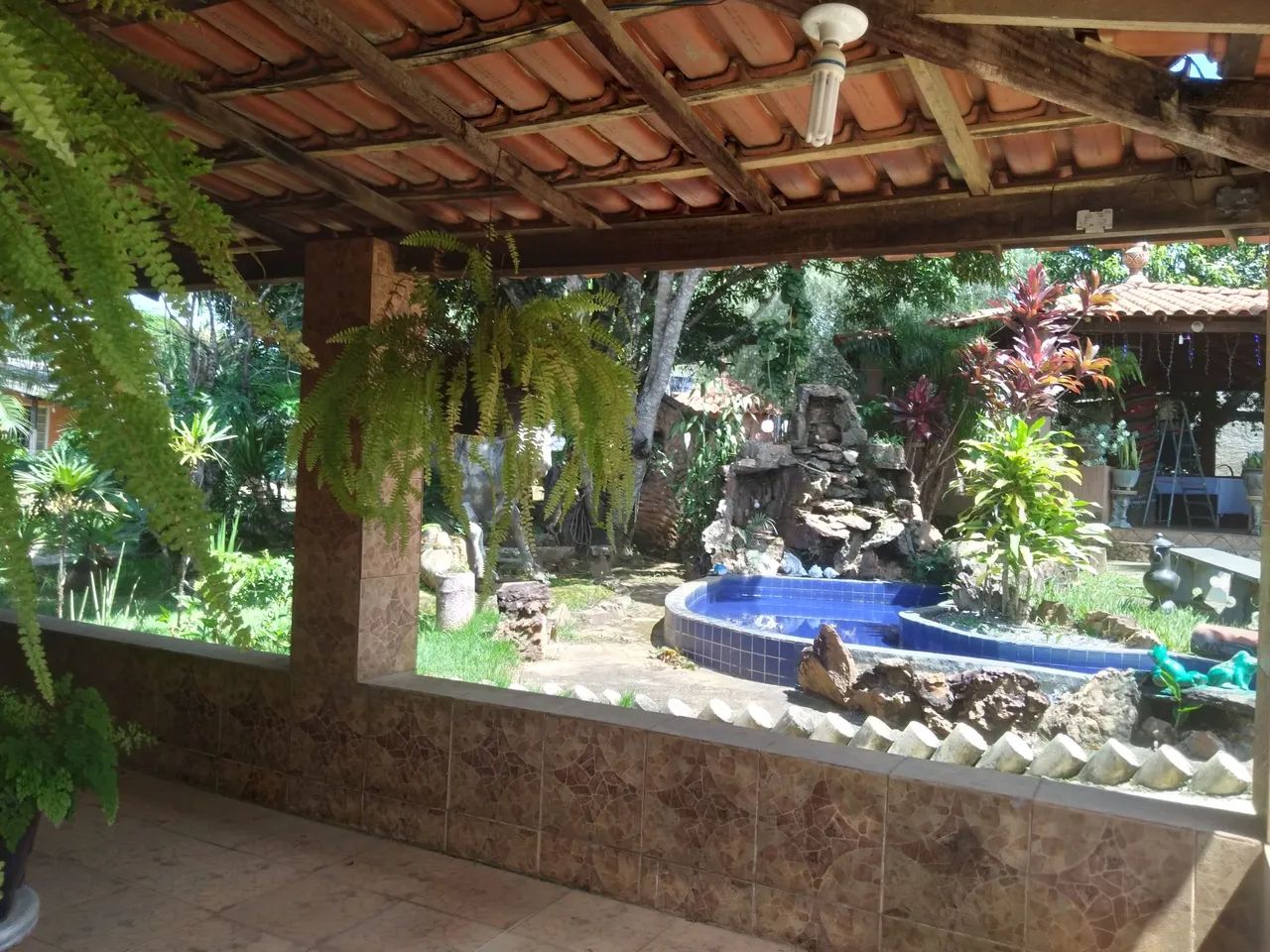 Vendo chácara formada ! - Foto 2