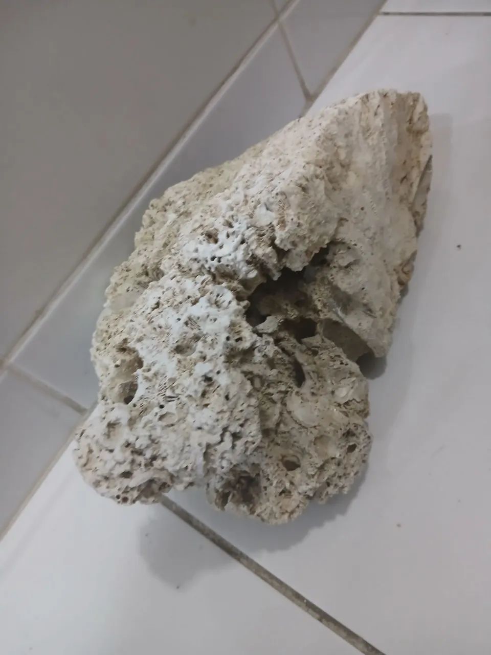 Rocha  aquario marinho (dry  rock) - Foto 3