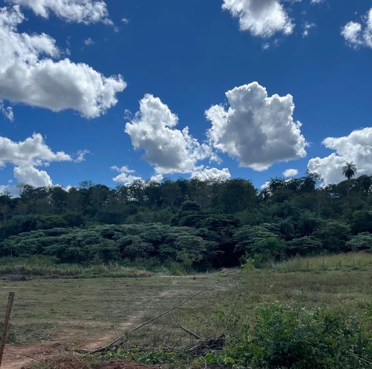 Lote 4.000 metros com água nos fundos 