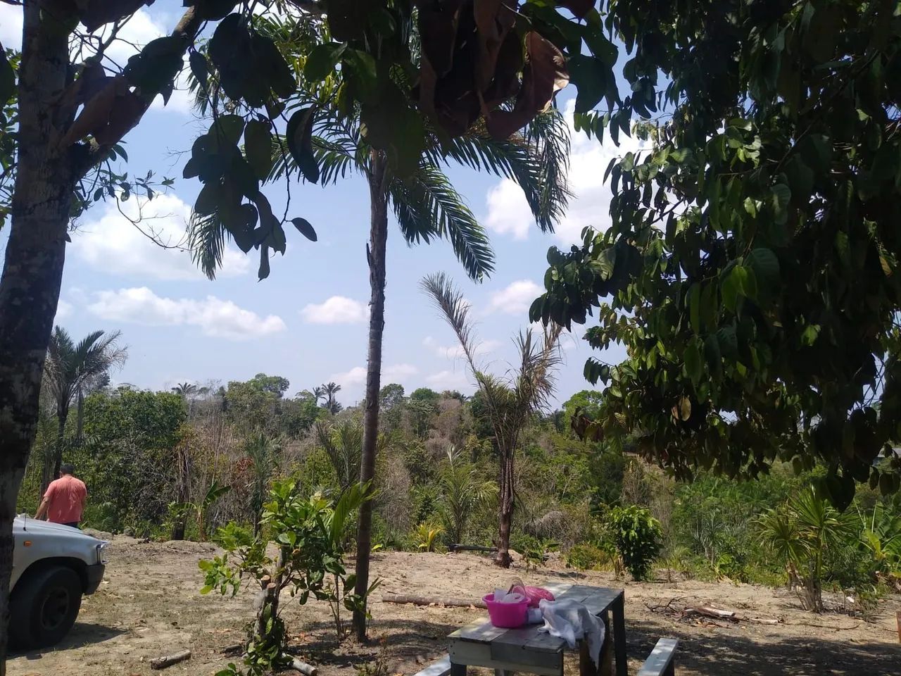 Alugo área de 6.000 M2 plantação  - Foto 2