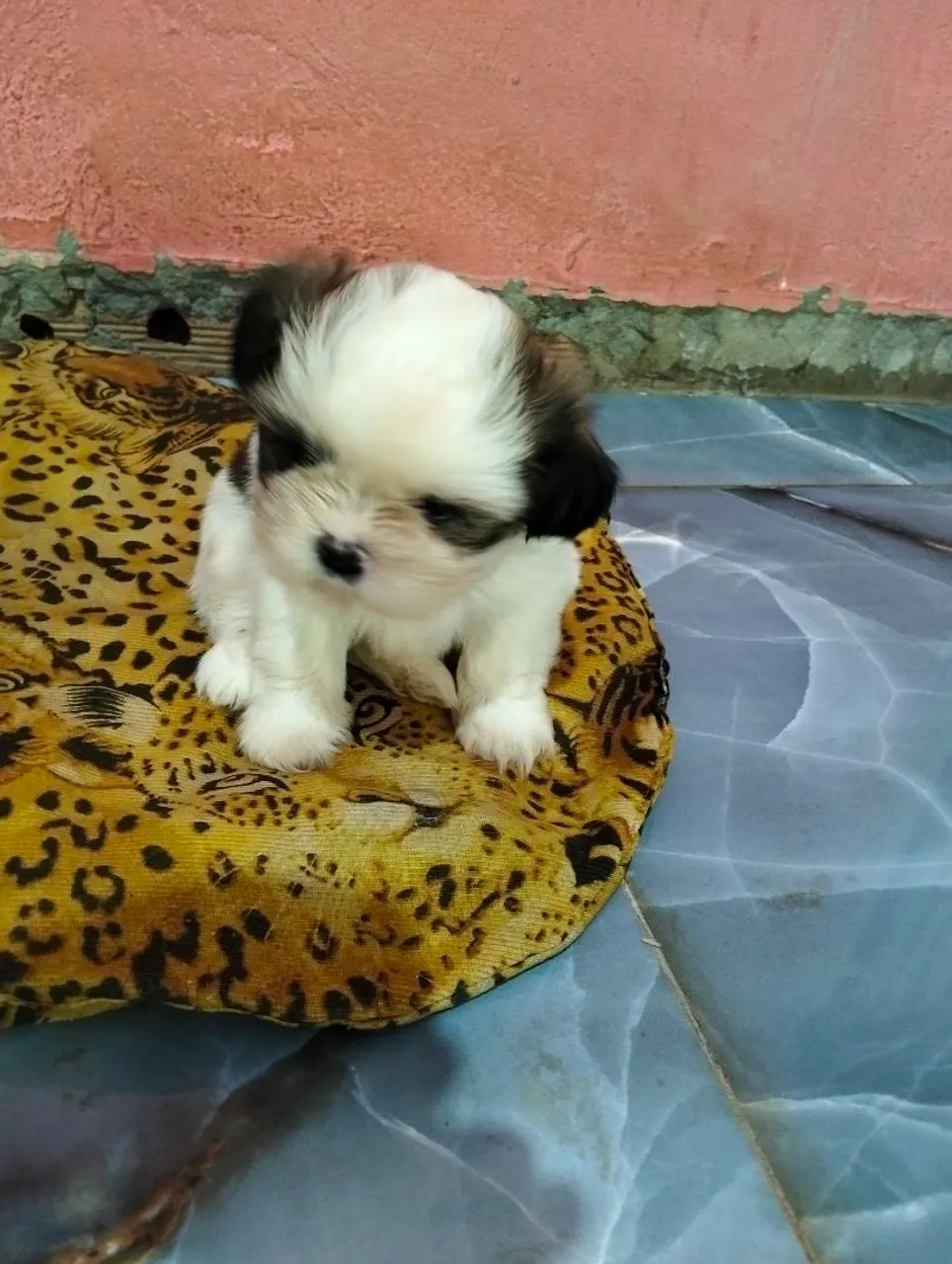 Vende
