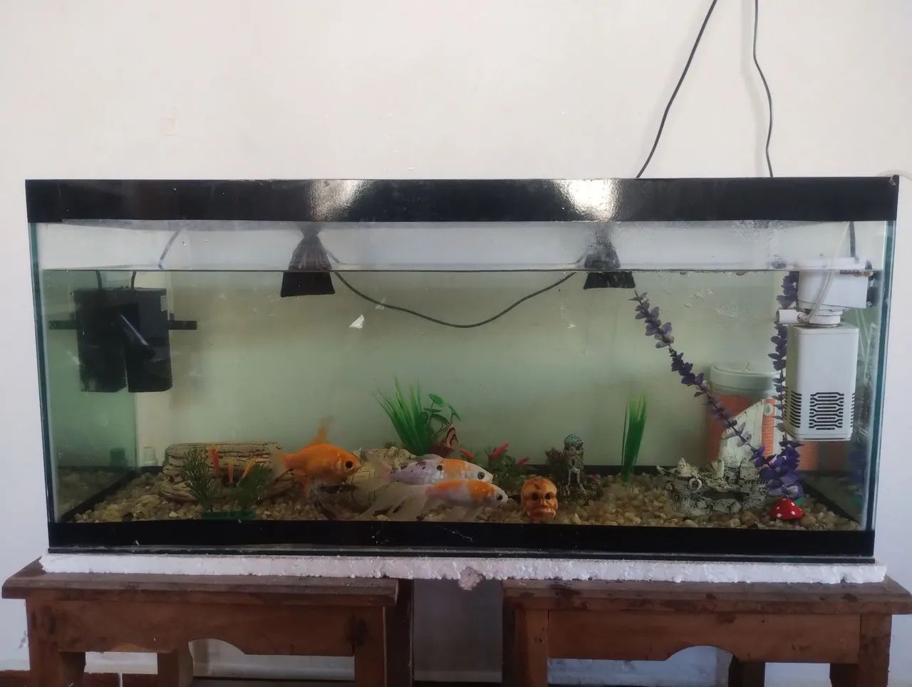 Aquário completo de 100 litros - Foto 2