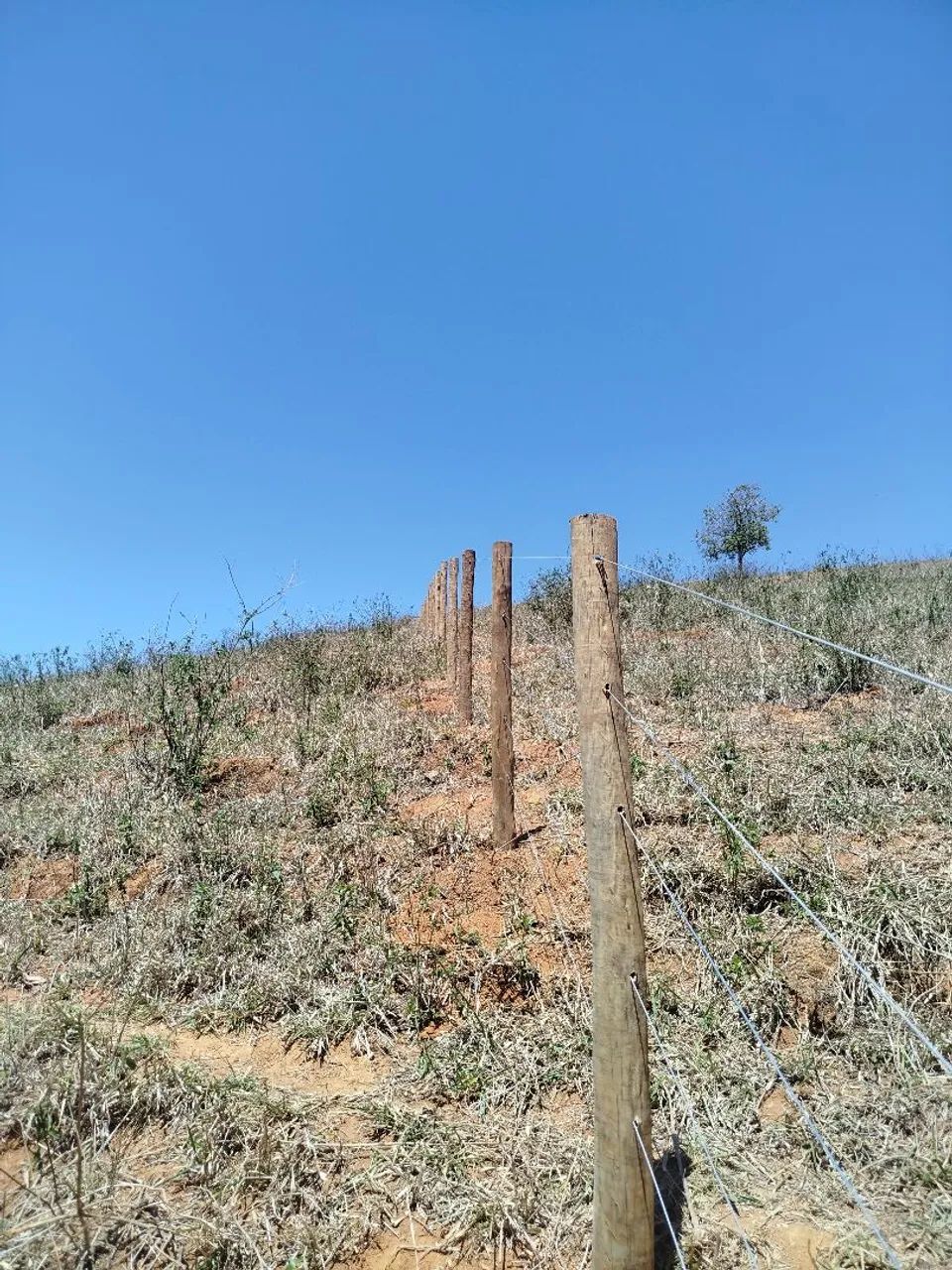 Limpeza de chácaras  - Foto 5