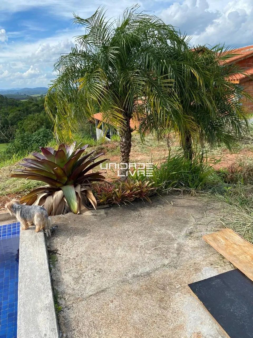 Chácara na Serra do Itapeti  Natureza, tranquilidade e espaço - Foto 3