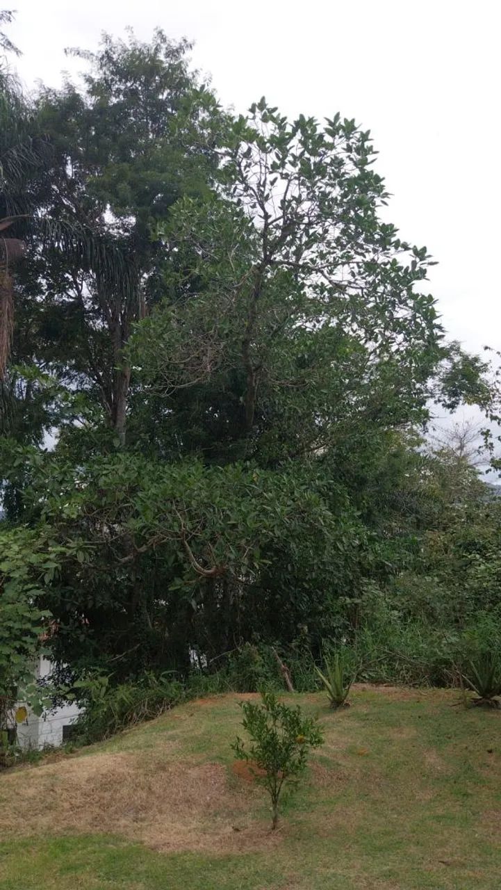 Terreno  - Foto 5