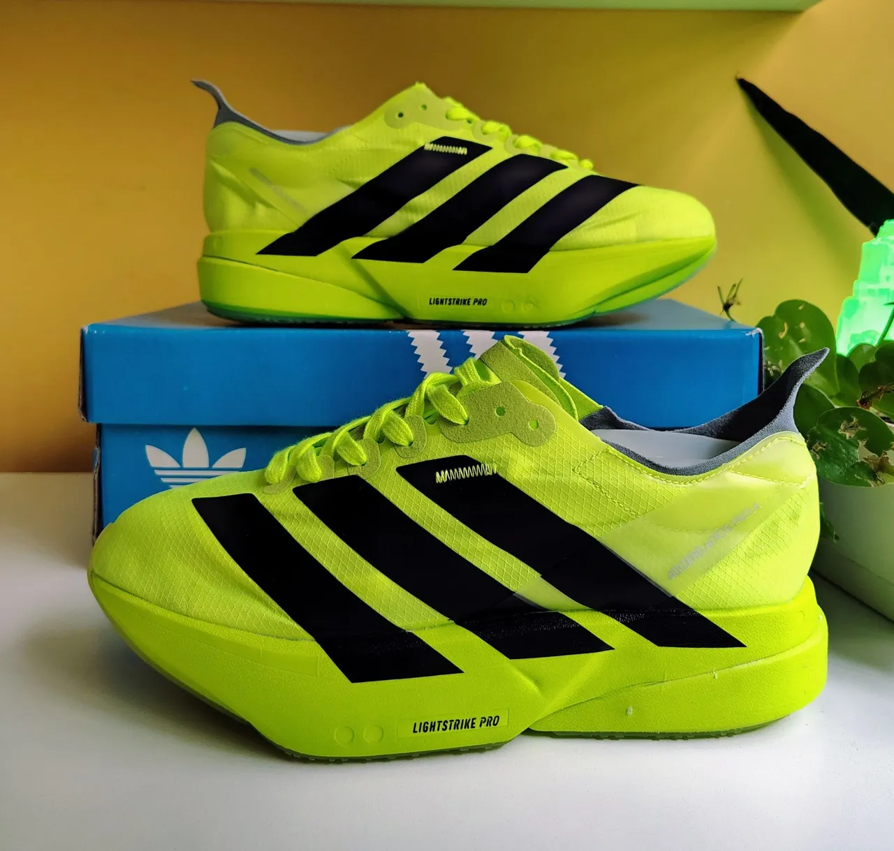 Tenis Adidas ZX Torsion 'Aqua' - Calçados Esportivos - Continental