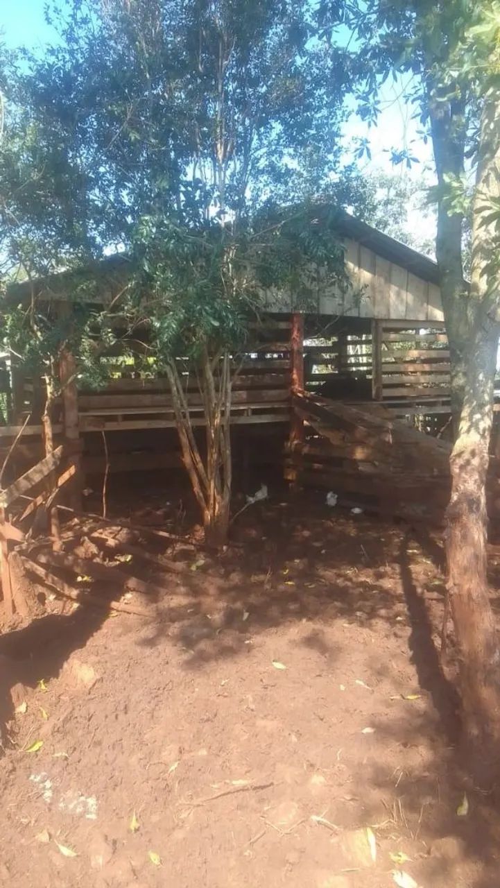 Sitio a venda  - Foto 5