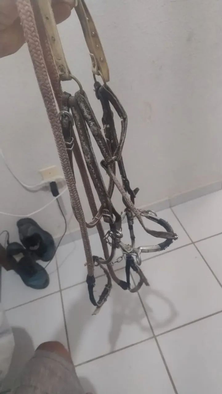 Cabeçada 
