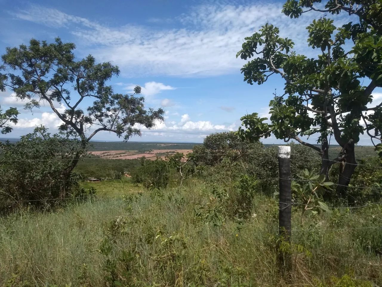 Terreno de 1.000mtrs em três Marias  - Foto 4