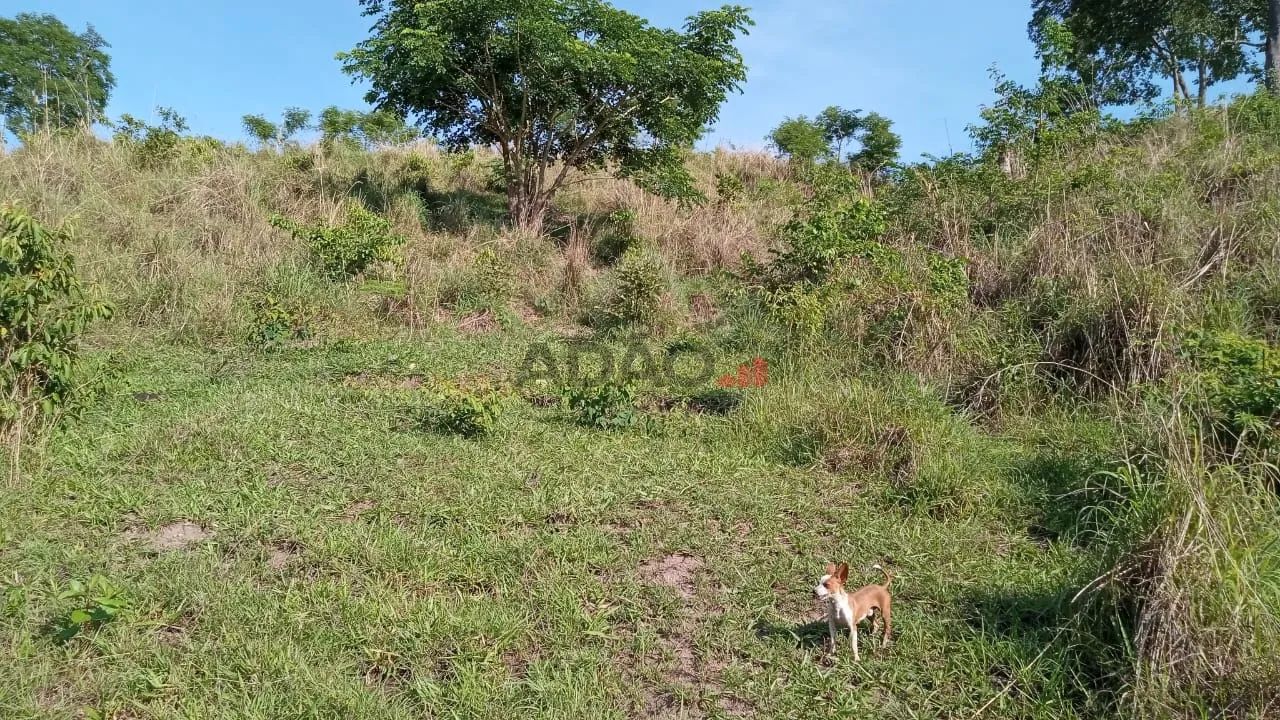 FAZENDA FORMIGA - Foto 4