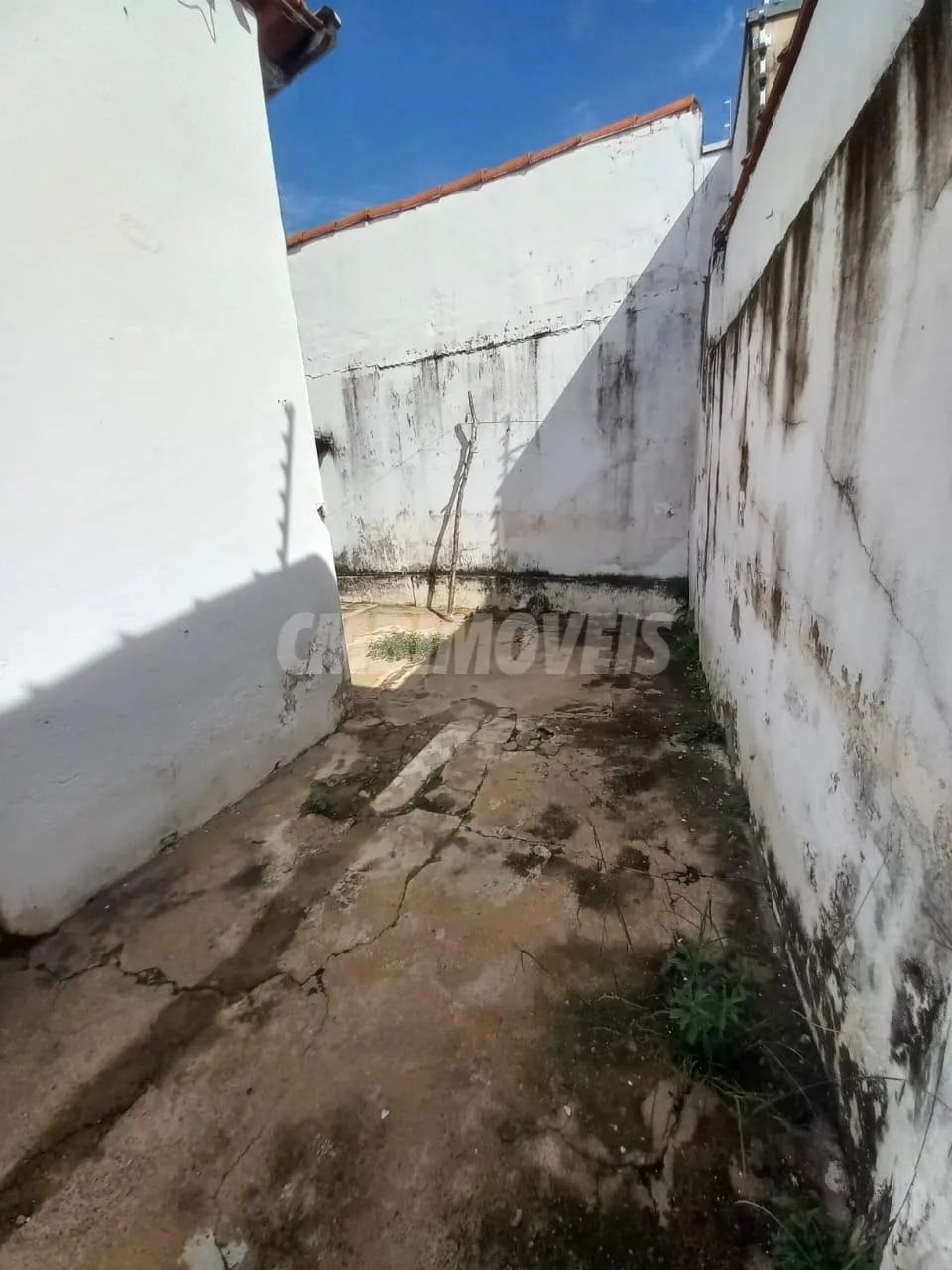 casa - Taquaral - Campinas - Foto 5