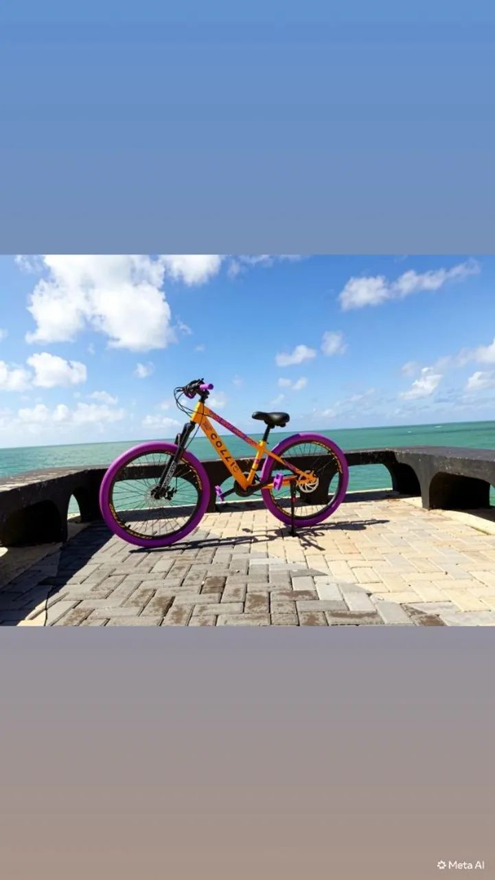 Bike colli grau aro 26 