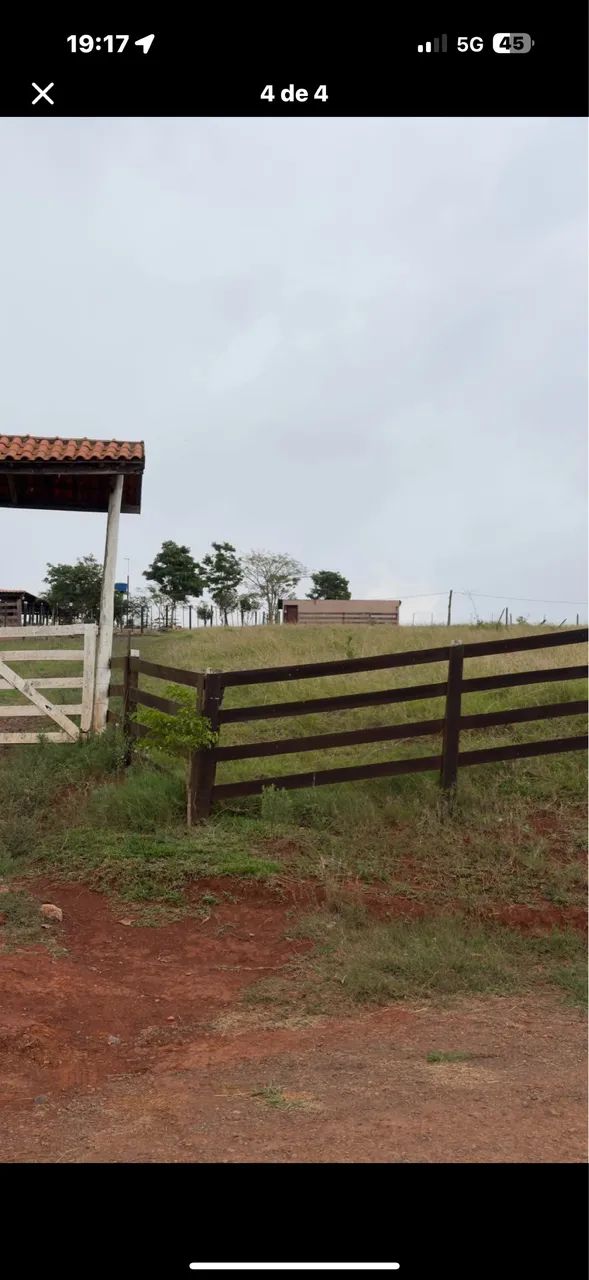 Chácara em Tamarana  - Foto 4