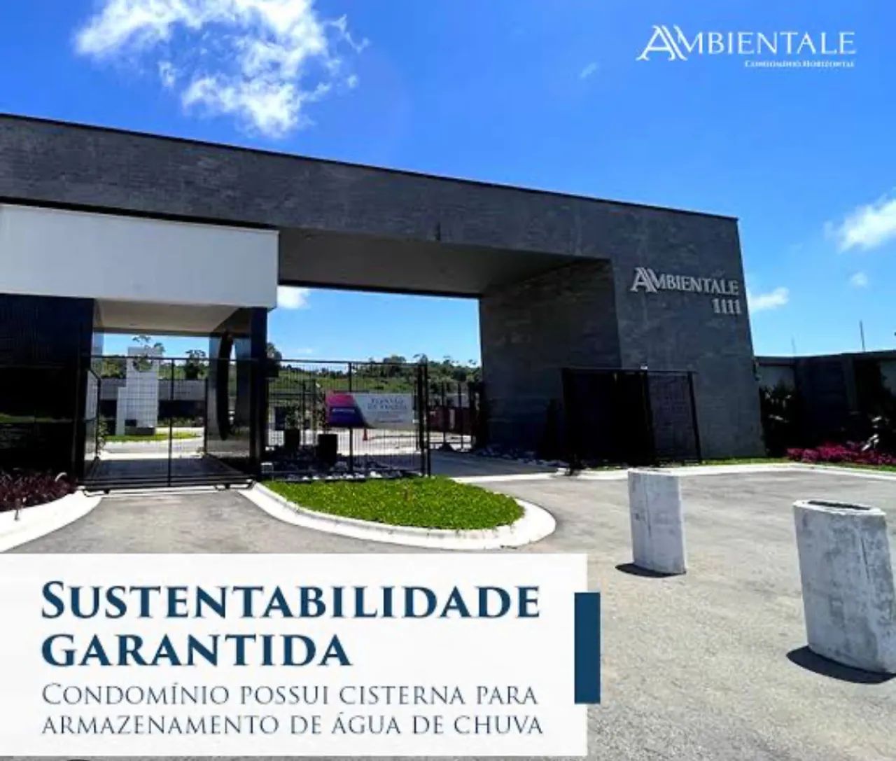 Foto - Colombo - Butiatumirim