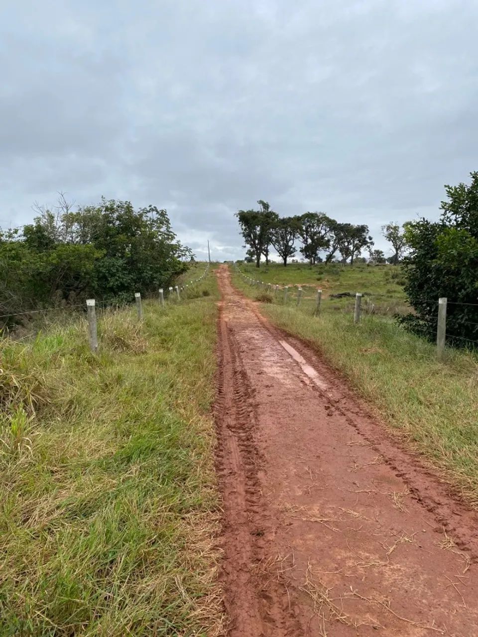 Fazenda em Tacuru MS! - Foto 2
