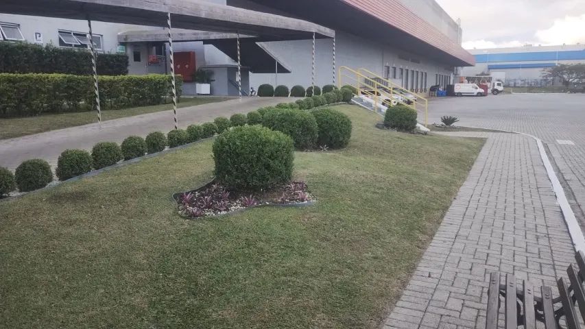 Preciso de jardineiro com experiência e CNH 