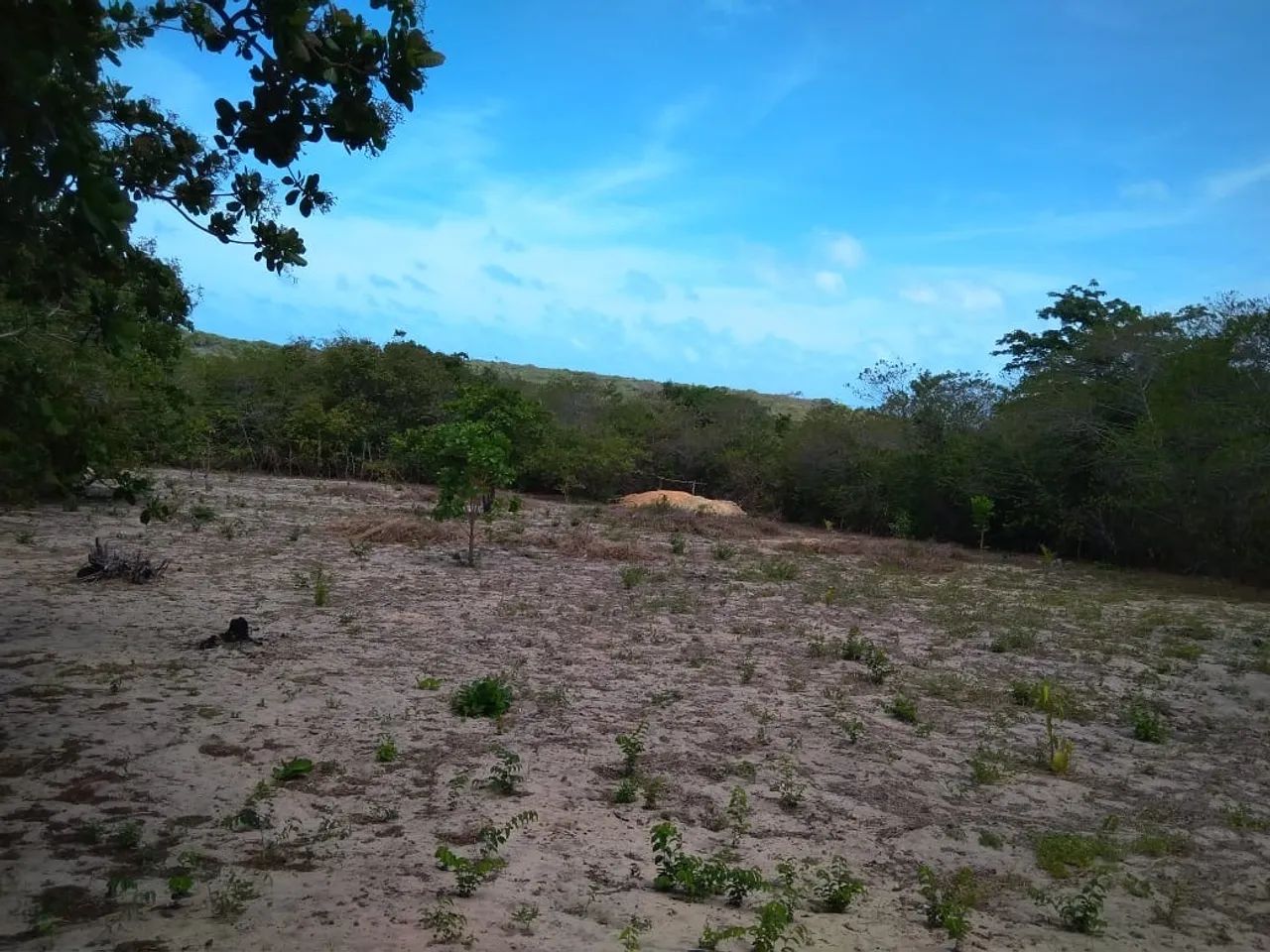 TERRENO À VENDA OU TROCA - 1.500 m²  - Foto 4