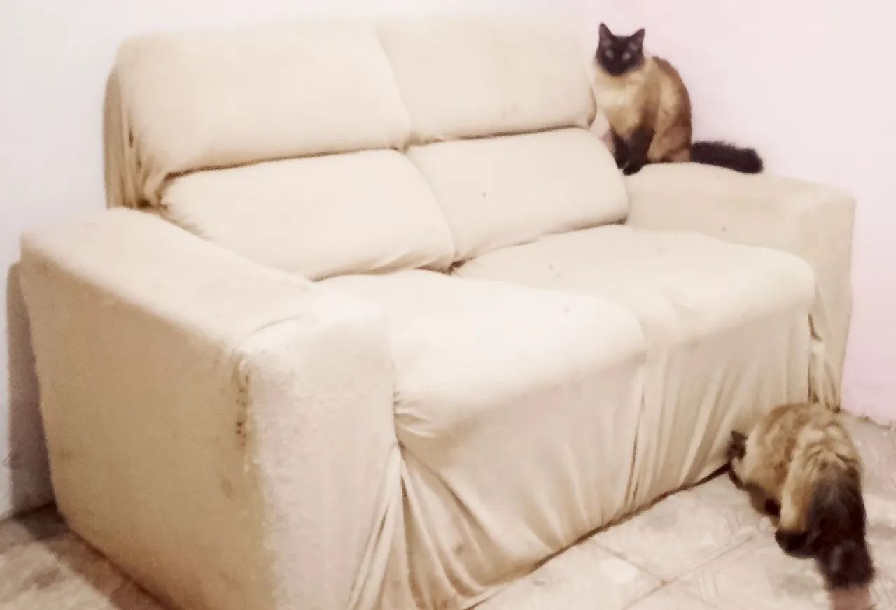 Vende-se sofá retrátil e reclinável de 2 lugares com capa - Foto 2