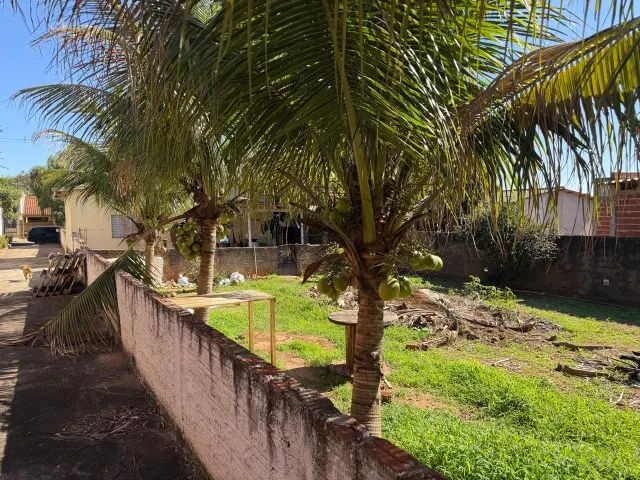 Terreno urbano 800m2 em Paranavaí - PR - Foto 5