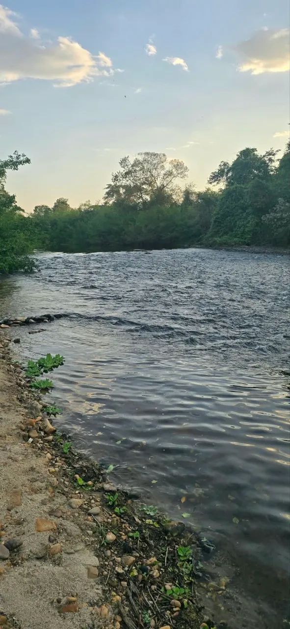 Chácara no Rio Uru (oportunidade)