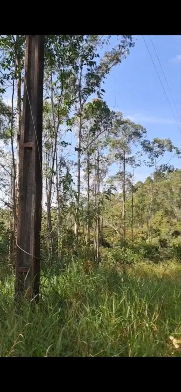 Terreno no Sul de Minas - Foto 4