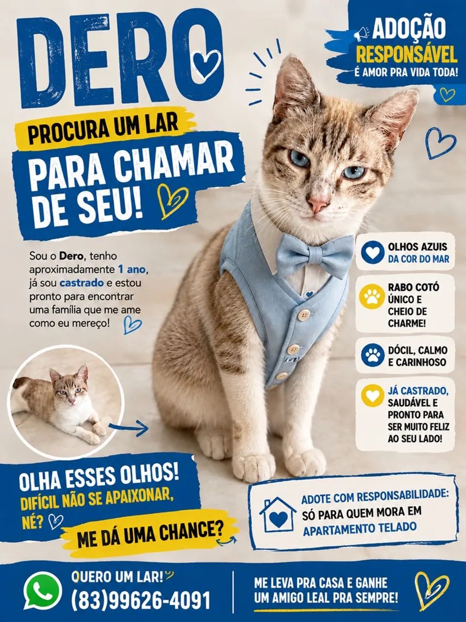Gatos para doação  - Foto 5