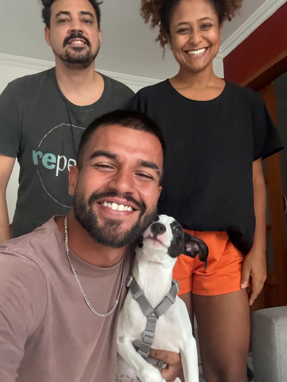 Adestramento de cães  - Foto 4