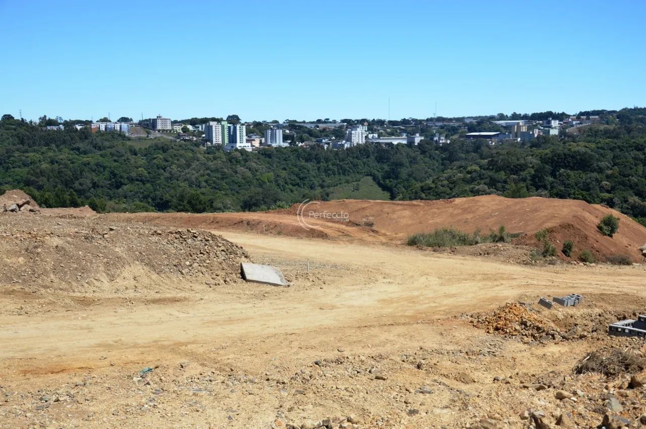 Terrenos - São Luiz - Foto 5