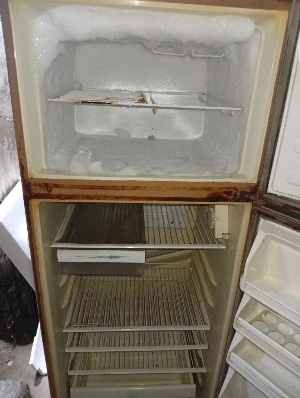 Geladeira Prosd ócimo C41 - Foto 2