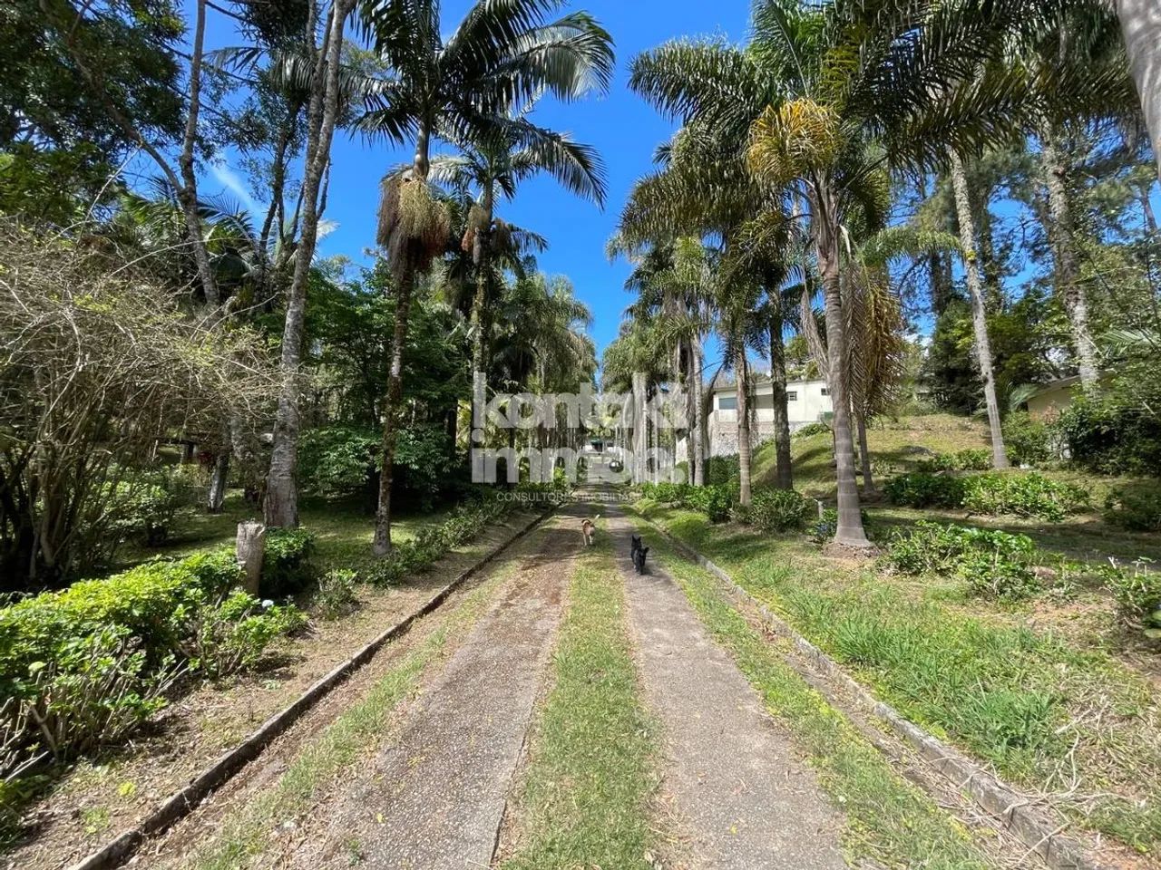 Edifício Comercial à venda e para alugar 8000m² em Centro - Foto 4